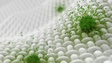 are-antimicrobial-additives-the-future-of-cleanliness-and-hygiene?