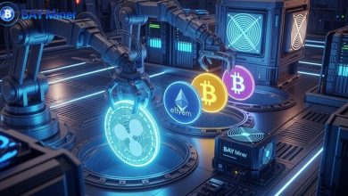 xrp-retail-investors-earn-over-$6,700-monthly-through-cloud-mining-using-bay-miner