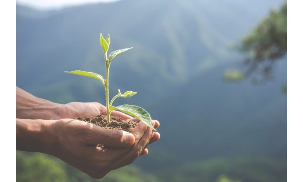 sustainable-supply-chain-practices-at-lead:-building-a-responsible-future