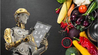 ai-powered-social-media-marketing-for-restaurants:-simplify-engagement-&-drive-growth-with-nova