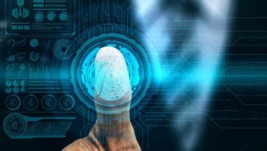 the-importance-of-verification-of-identity-storage-in-sydney’s-digital-future